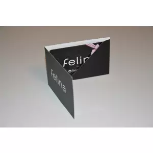 Gutscheinkarte Felina 200€ mit Umschlag