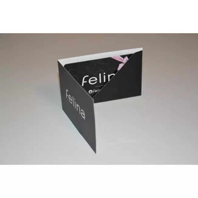Gutscheinkarte Felina 100€ mit Umschlag